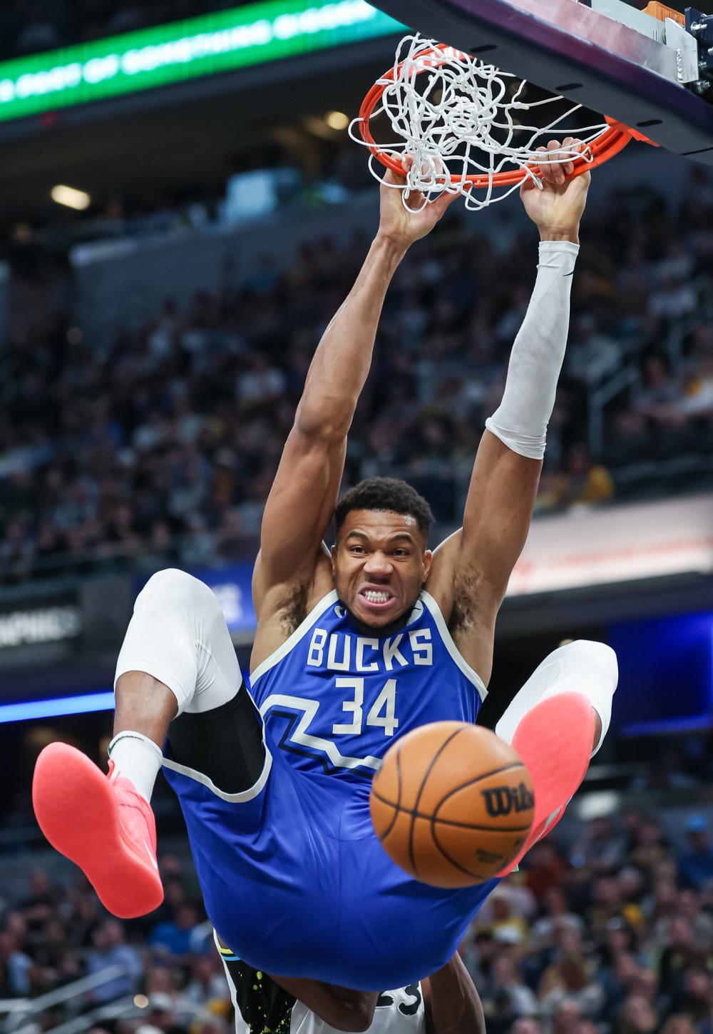 在球场上 在球场上